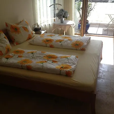 Blaschegg Im Zentrum Altmuenster